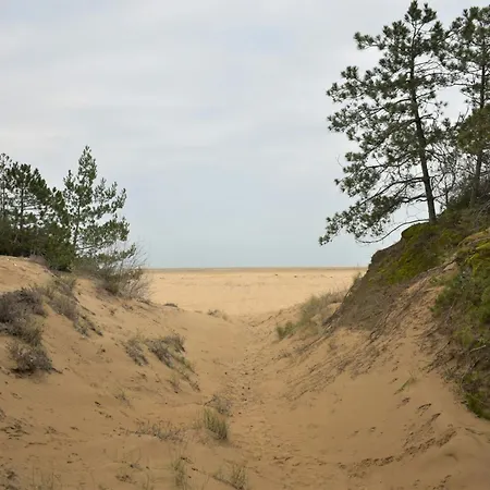 Lovely Flat With Balcony And Private Parking Space 50mt From The Sea In Lignano アパート *